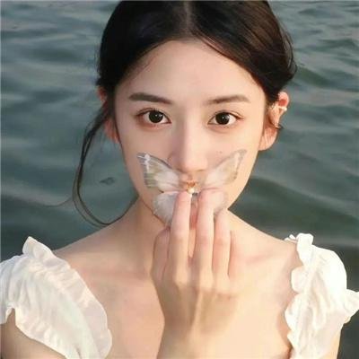 白鹭